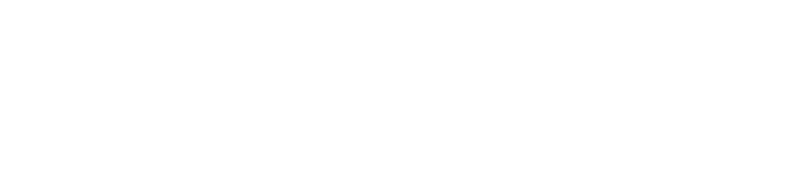 Wire Action Inc.